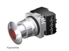 Siemens 52PP2G2A Switch