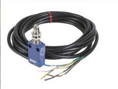 Telemecanique XCMD21F2L2 Device