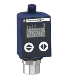 Telemecanique XMLR2D5G1P25 Device